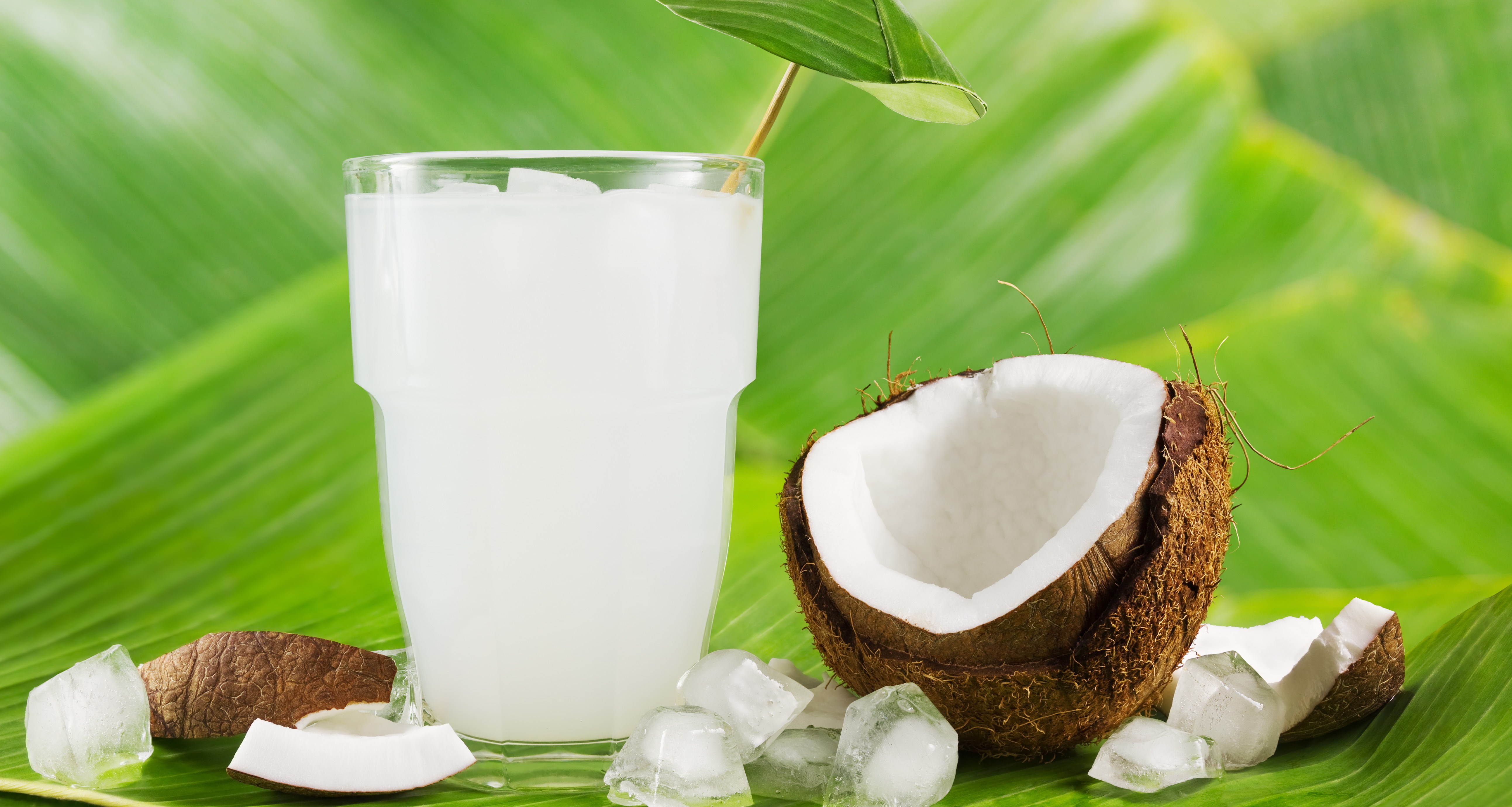 Nước dừa chính là thức uống của mùa hè