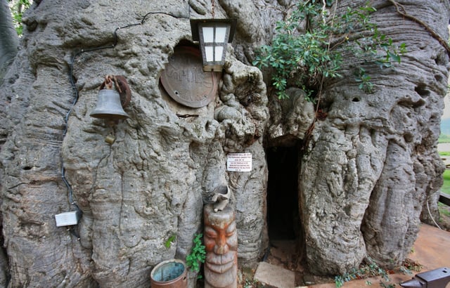 loi-vao-quan-cafe-Baobab-Tree-ky-la-tren-the-gioi.jpg
