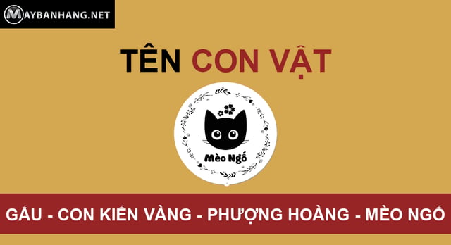 Quan tra sua ten con vat