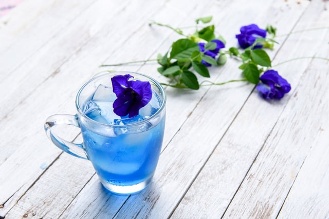 Nước hoa đậu biếc
