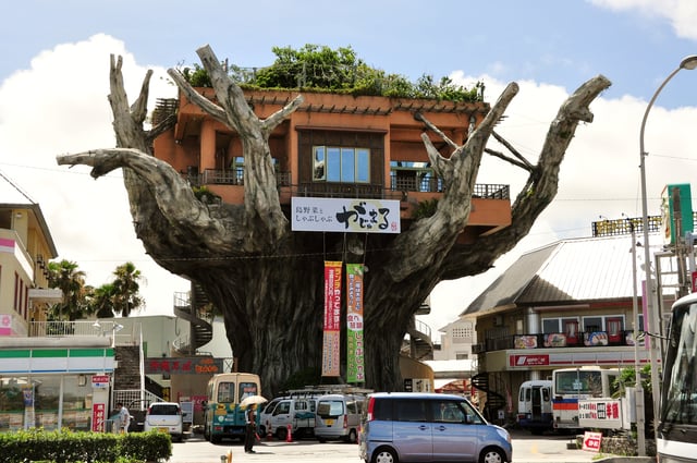 gajumaru-treehouse-quan-cafe-tren-cay.jpg
