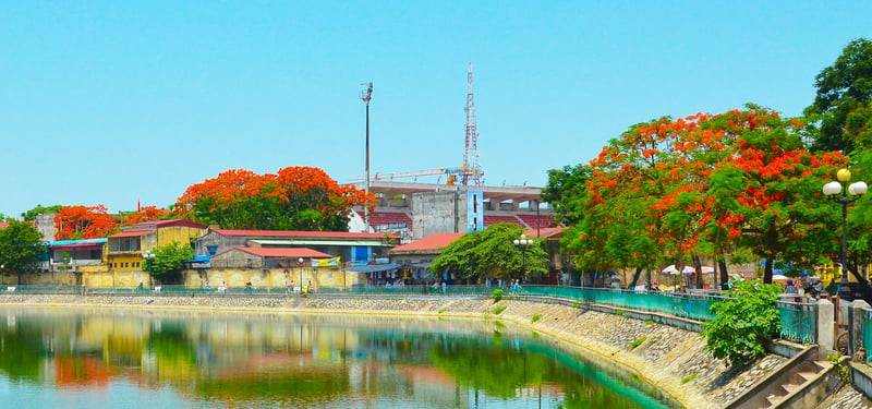 Hai-phong-hoa-phuong-do