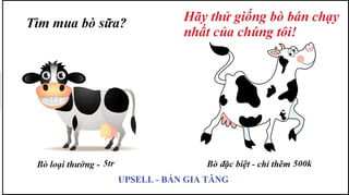 Upsell-1.jpg