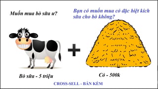 Cross-Sell-1.jpg