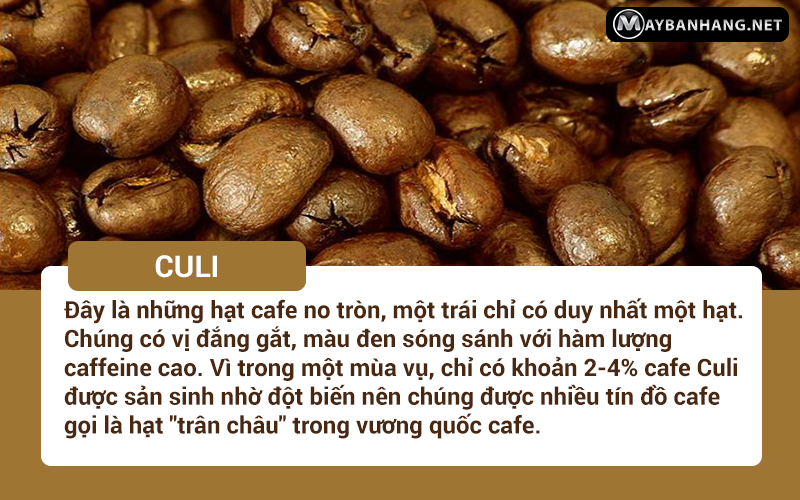 cafe-culi
