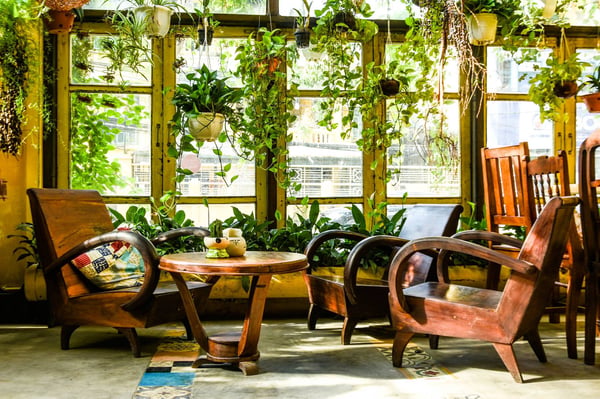 không gian quán cafe nhiều cây xanh