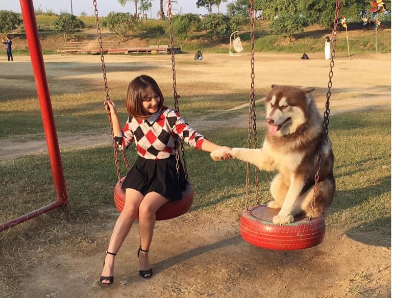 khach-hang-thanh-cong-mat-pet3.jpg