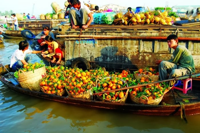Nhập hàng trái cây từ chợ nổi miền Tây