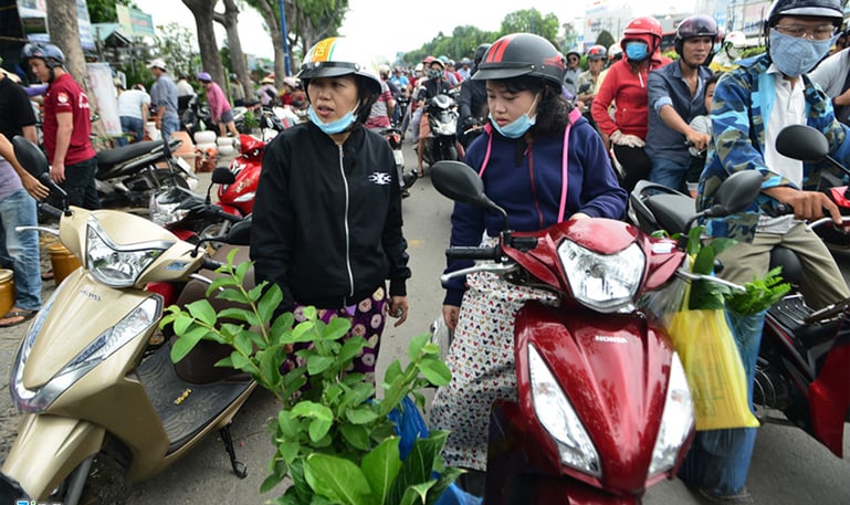 cây cảnh 7.png
