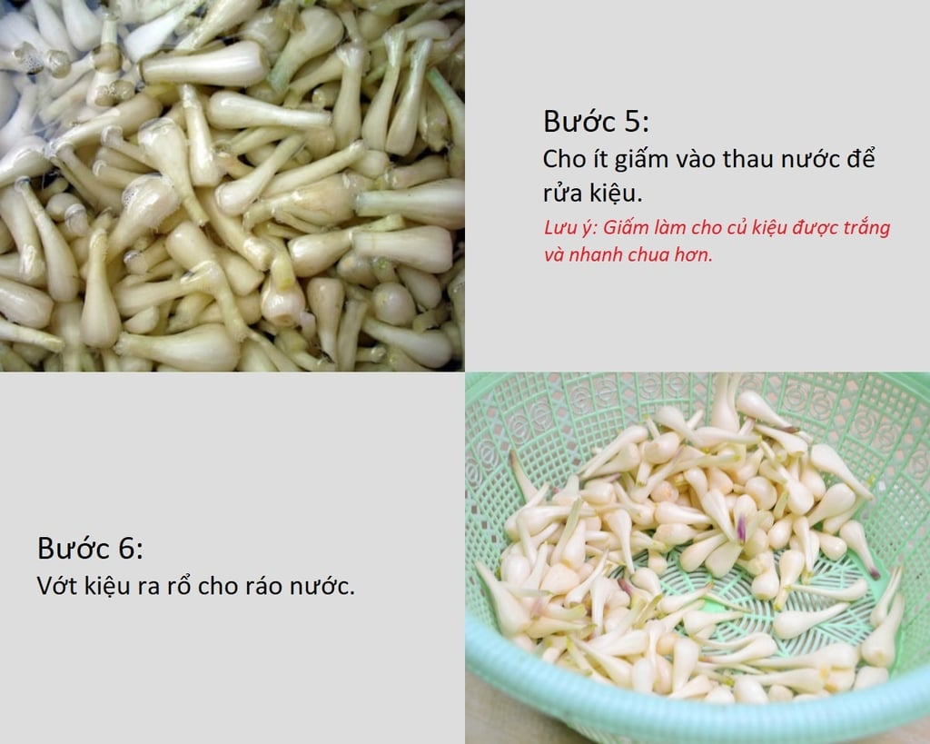rửa củ kiệu bằng giấm