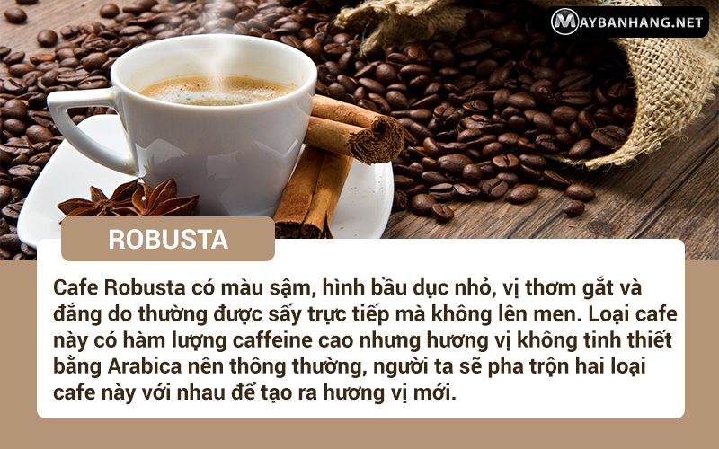 robusta