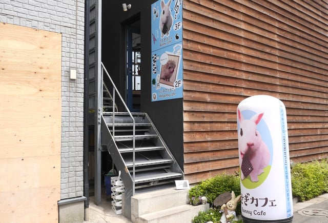 quan-cafe-hedgehog-tai-nhat-ban.jpg