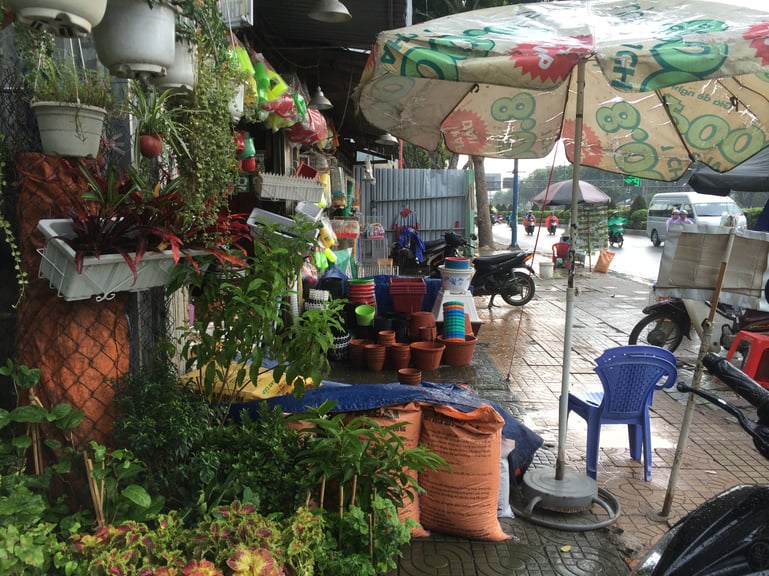 cây cảnh 9.jpg