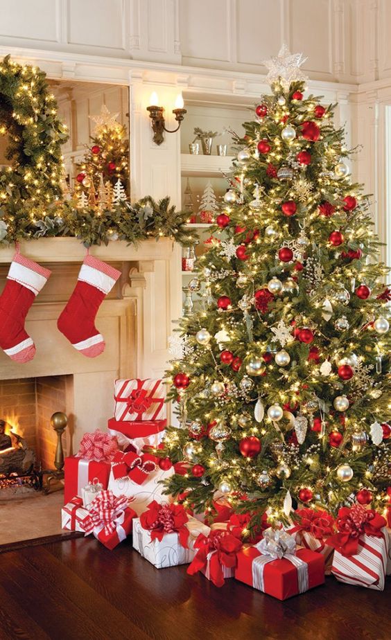 cay-thong-noel