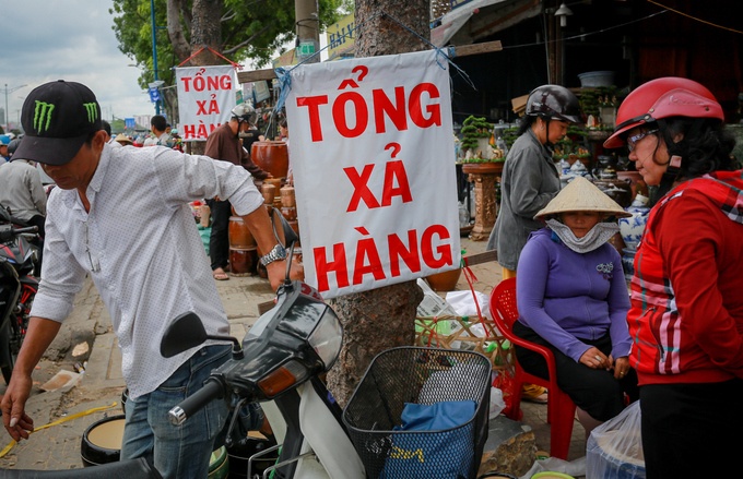 cây cảnh 10.jpg