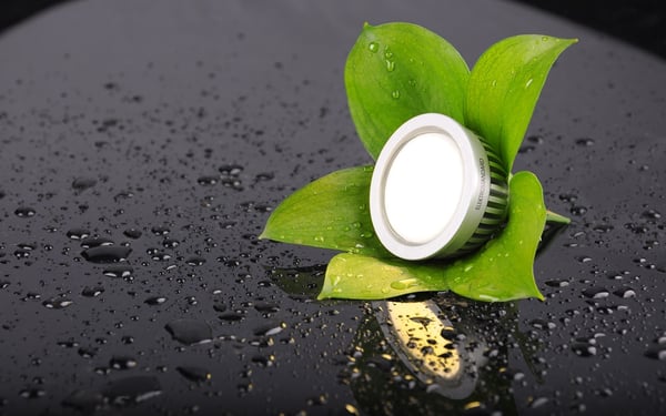 Hãy bắt đầu với việc sử dụng bóng đèn LED tiết kiệm điện