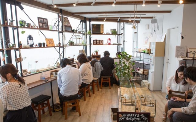 ben trong-quan-Hedgehong-Cafe.jpg