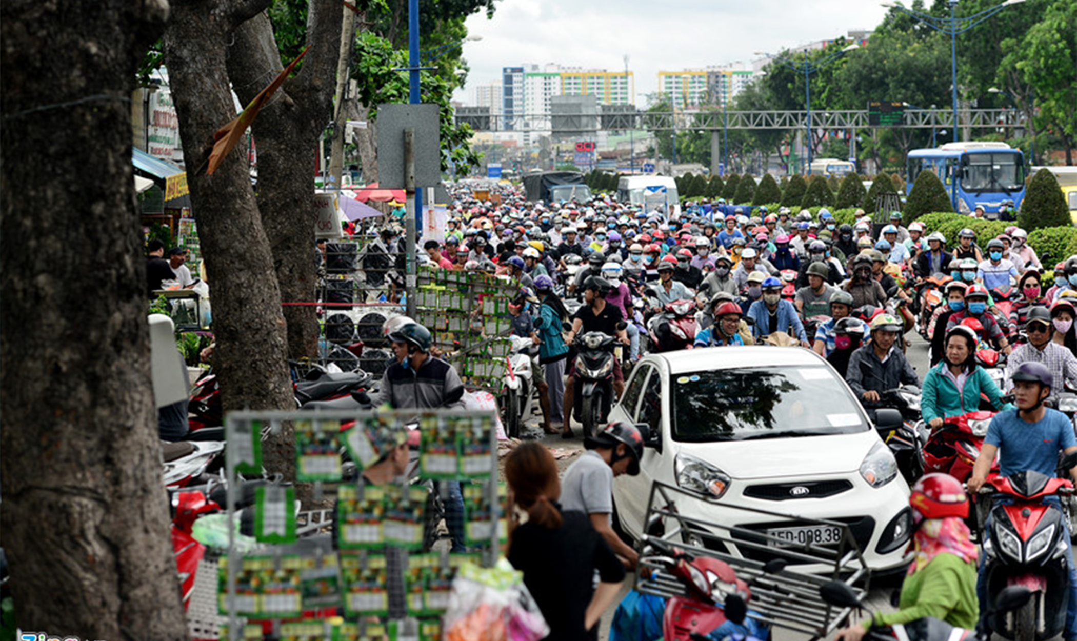 cây cảnh 4.png