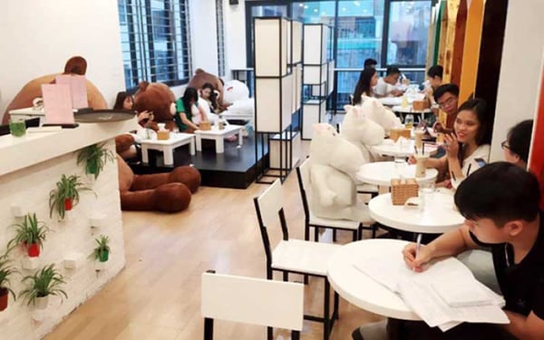 gấu cafe